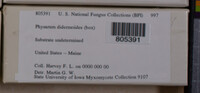 Image Associated With the Occurence